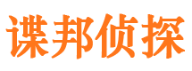 惠农市婚姻调查